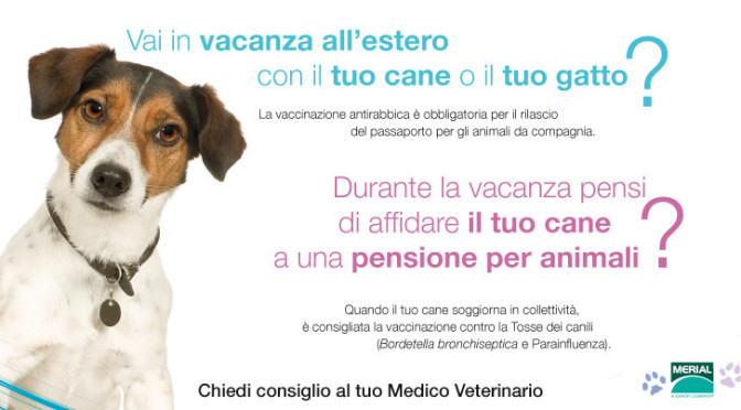 LA TRACHEOBRONCHITE INFETTIVA o TOSSE dei CANILI del cane