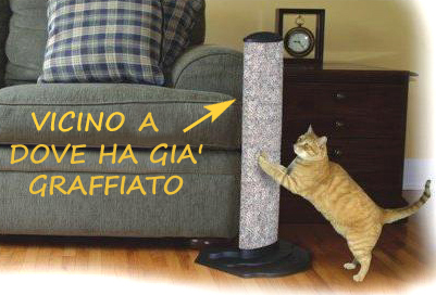 Le marcature con le unghie del gatto